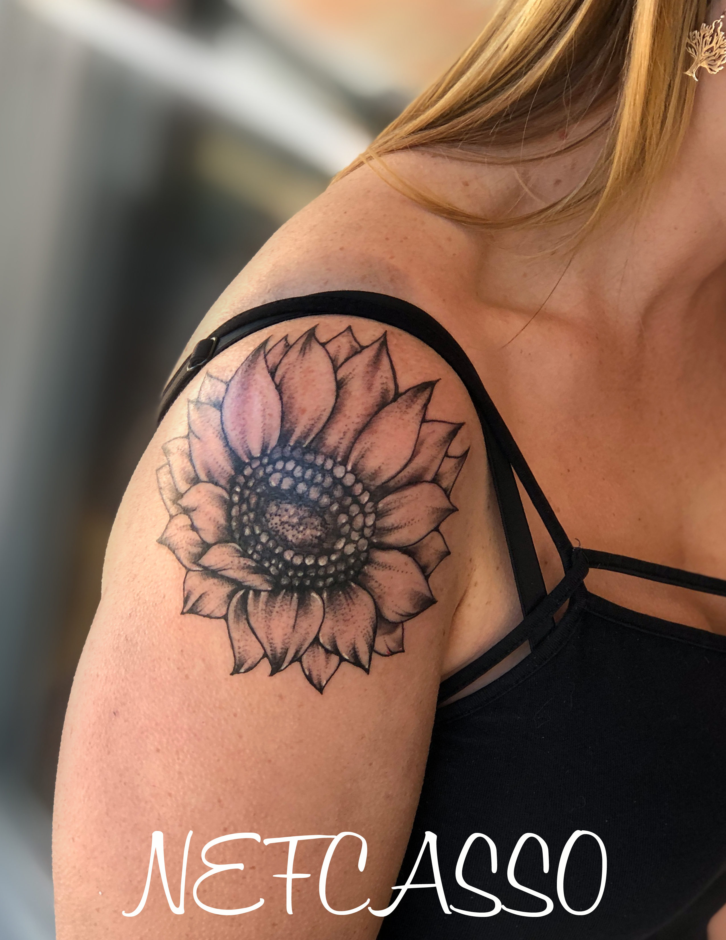 Sunflower