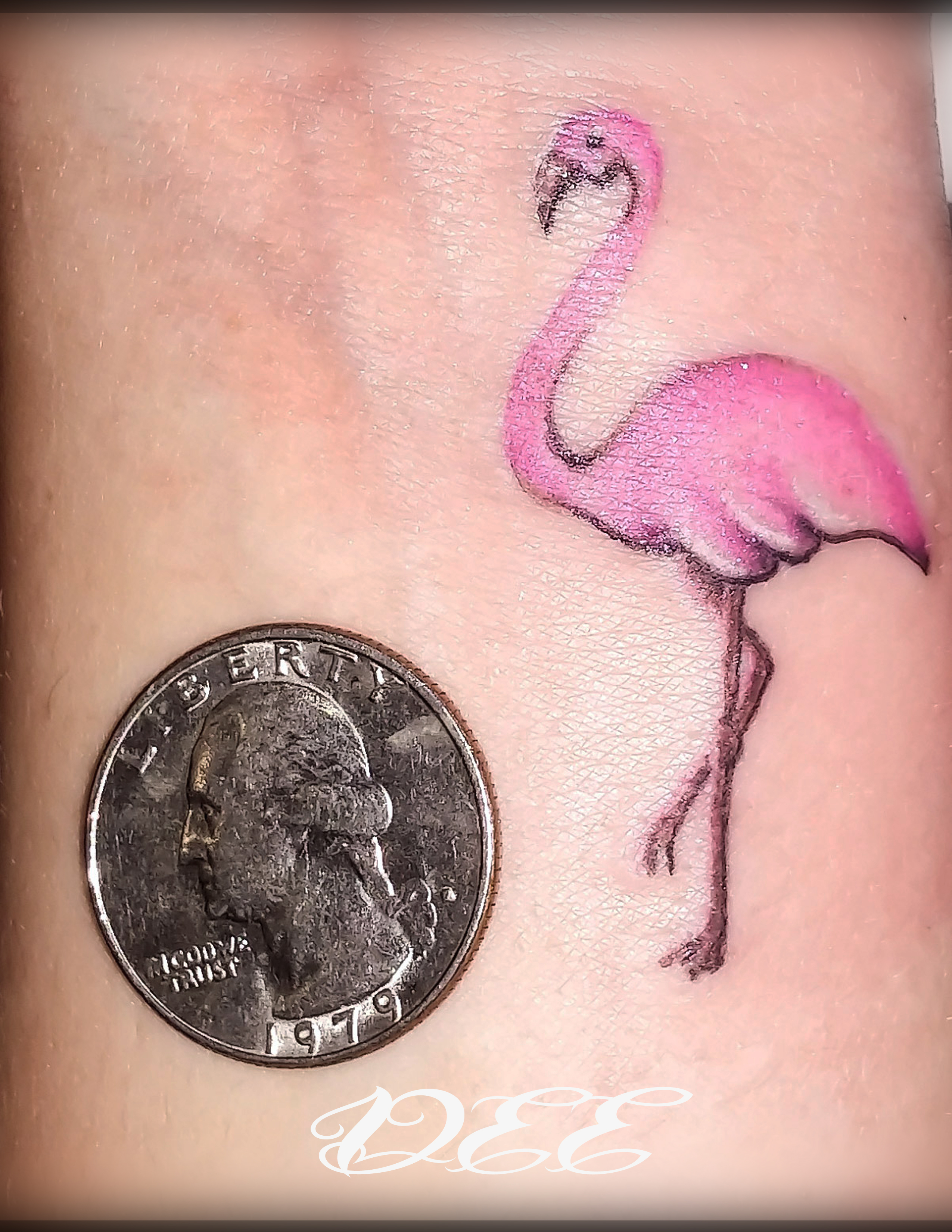 Flamingo