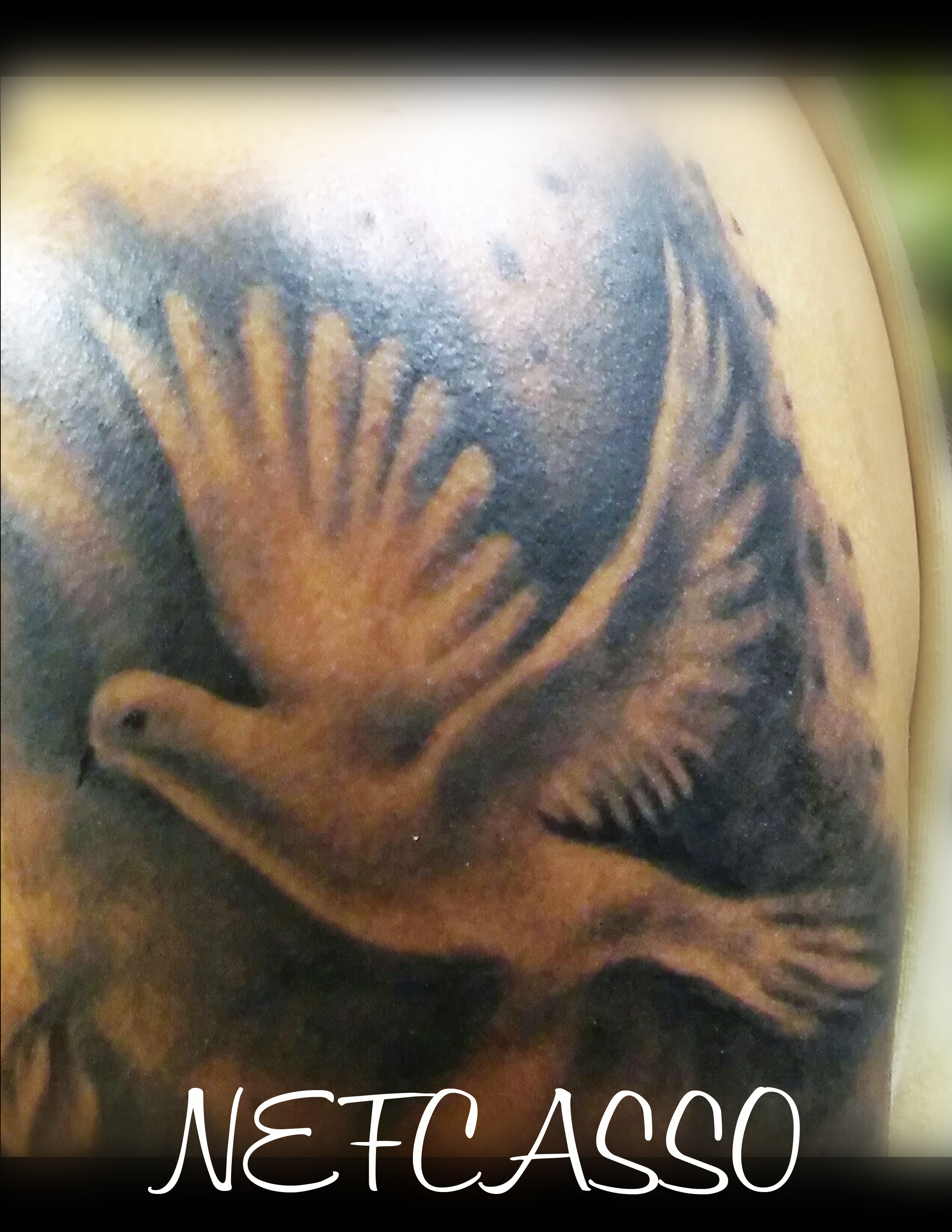 Dove
