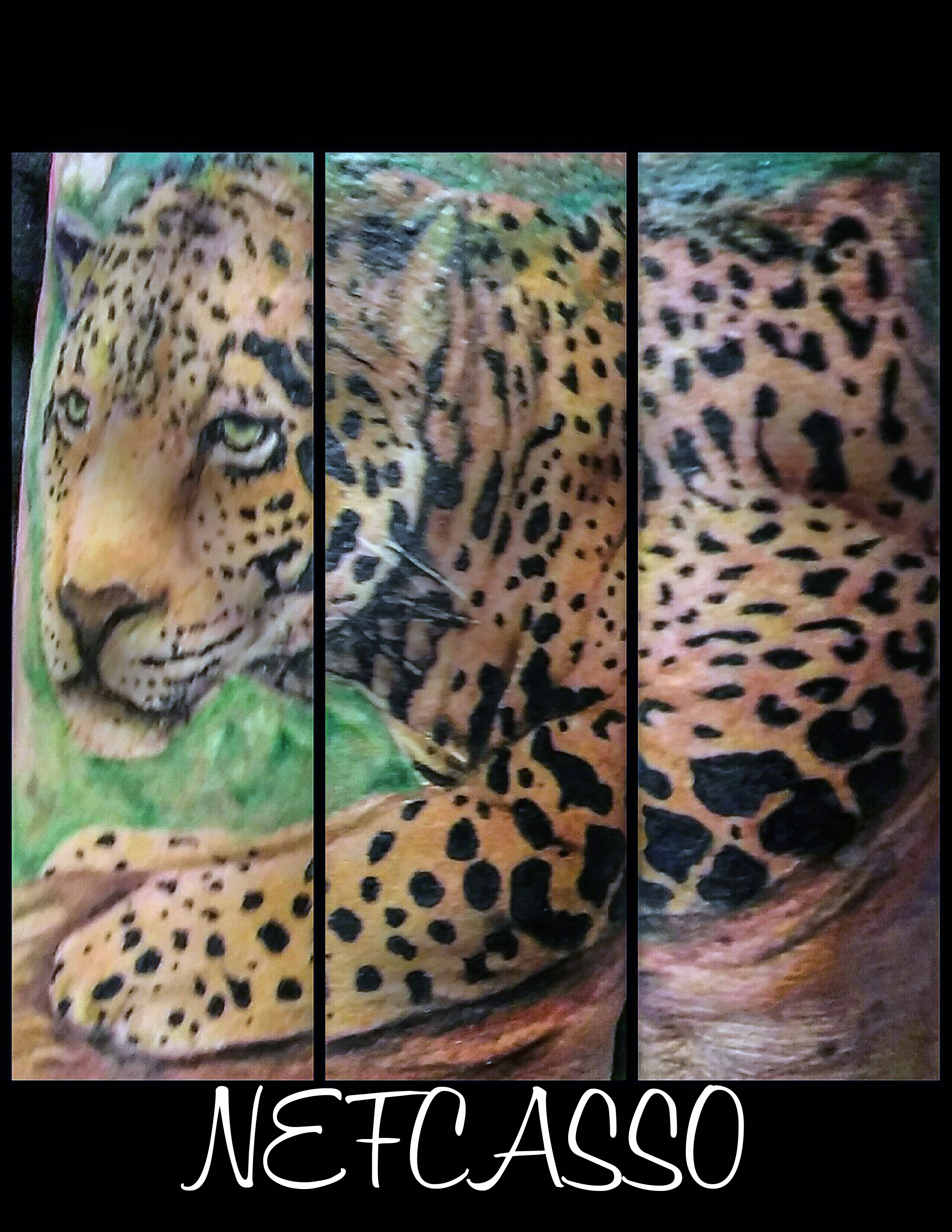 leopard