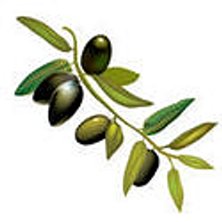 olive-branch_small_edited.jpg