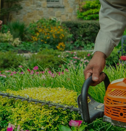 Landscape maintenance_edited_edited.jpg