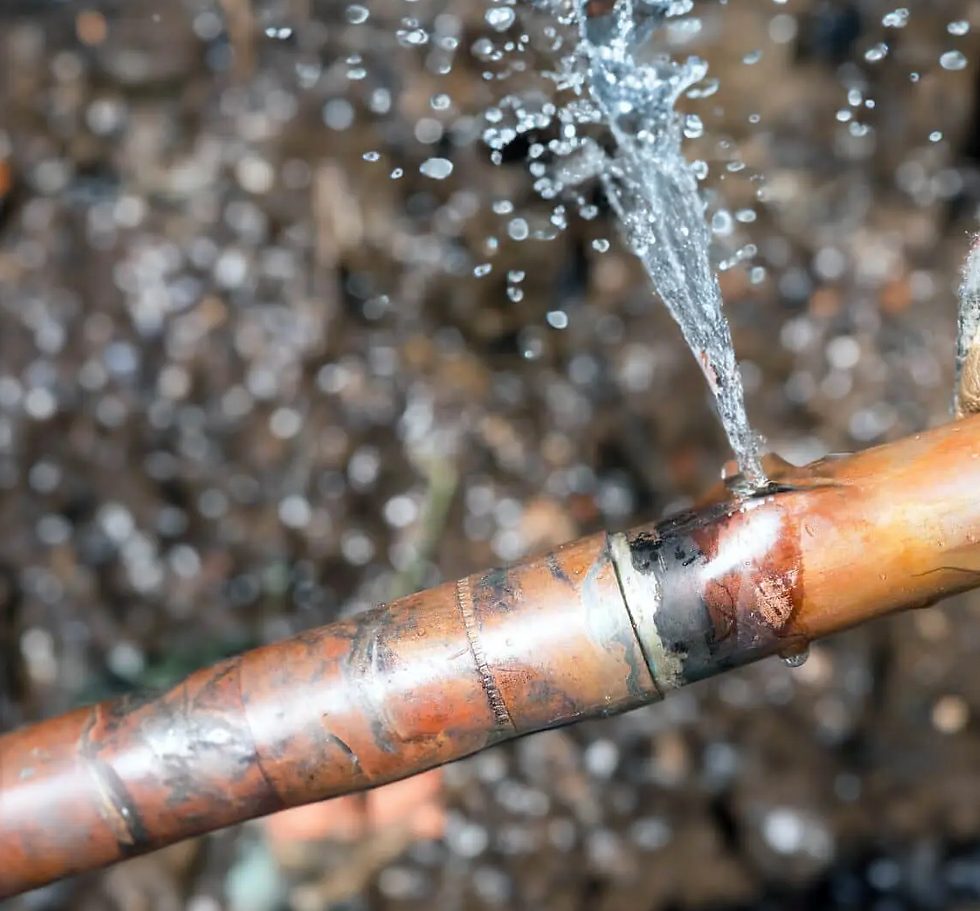 Burst Pipe Water Leak Detection Plumbing Repair Experienced Plumber Jose CENTRO Plumbing & Rooter Immediate BAY AREA Plumbing Company 510-800-9664 Immediate Plumbing Dispatch Cell 510-640-2994