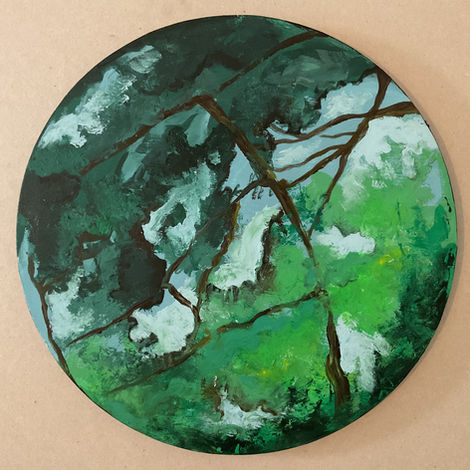 trees