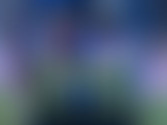 Rapid – FCU Craiova 1-2. Primul eșec pentru giuleșteni pe teren propriu