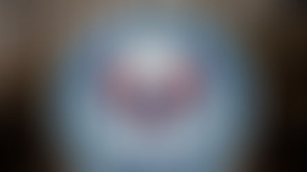 Opt manageri şi funcţionari publici, în stare de incompatibilitate şi conflict de interese