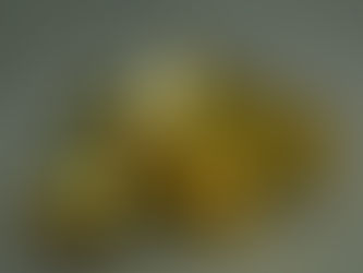 În umbra dolarului. „Aurul nu funcționează!”