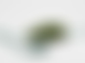 Uniunea Europeană vrea doar mașini electrice pe șosele după 2035