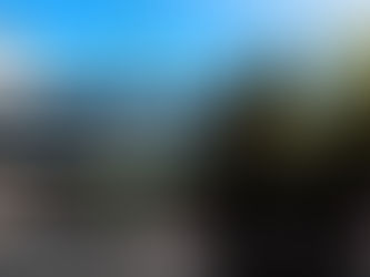 Autorul afgan care a şocat Timişoara în aprilie, când a ucis un alt migrant, a fost adus în ţară