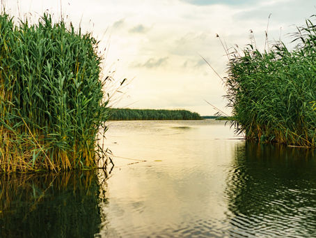 Apele Române: La sfârşitul lunii, debitul Dunării la Baziaş s-ar putea apropia de cea mai mică valoa