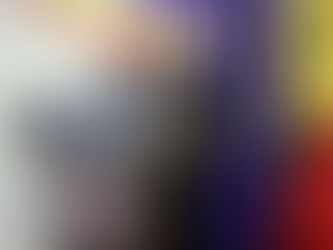 Bode: România contribuie consistent la securitatea UE. Aderarea la Schengen, urmare firească a acțiu