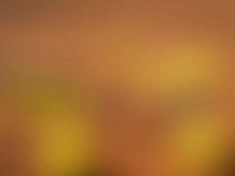 George Cosac, ales președintele Federației Române de Tenis. Toți contracandidații s-au retras din cu