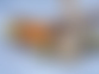 Comisia Europeană propune o derogare temporară de la anumite reguli ale Politicii Agricole Comune pe