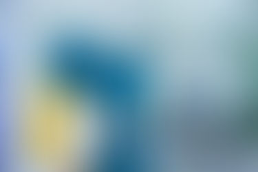 Guvernul acordă noi beneficii pentru medicii rezidenți. Actul normativ a fost aprobat și intră în vi