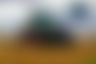 APIA va efectua plata în avans pentru fermierii care au depus Cereri unice de plată în anul 2021