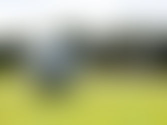 Conference League, „căpușată“ de FCSB și CFR Cluj: Pro TV, decizie drastică după ultimele evenimente