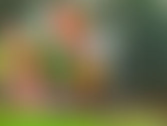 Fotbalul francez pleacă din Qatar cu 30 de milioane de dolari