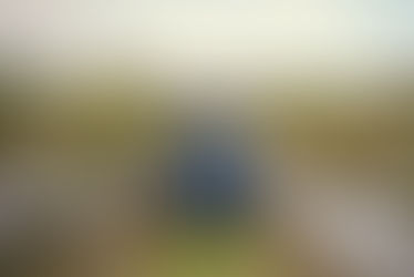 ANAF a tăbărât pe fermieri. Îi caută să nu ascundă profitul