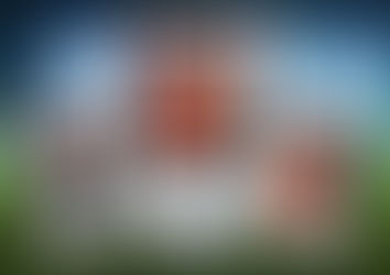 Darko Siminiceanu, reșițeanul care apără poarta celor de la FC Eindhoven!