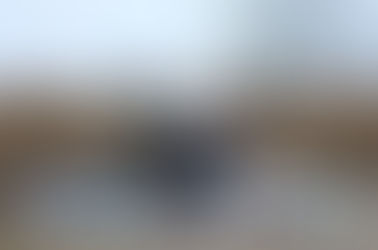 Măsuri draconice împotriva mafiei deșeurilor. Transporturile, monitorizate la sânge