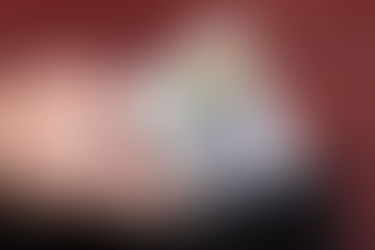 Banca Centrală Europeană va continua să majoreze ratele dobânzilor