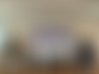 AIPO's experience at the Human-Centered Innovation Workshop