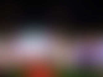 AIPO Participates in the Regional Science and Technology Week in Region 1