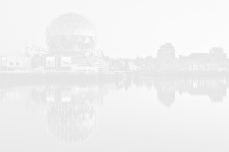 header 7.jpg