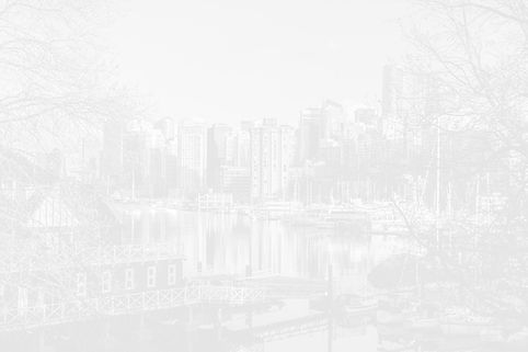 header 5.jpg