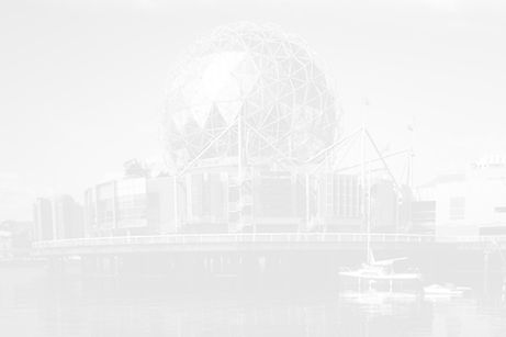 header 3.jpg