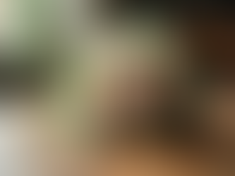 The Beauty of Transcend Photo Style