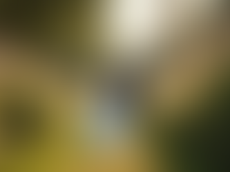 The Power of Natural Wedding Photography