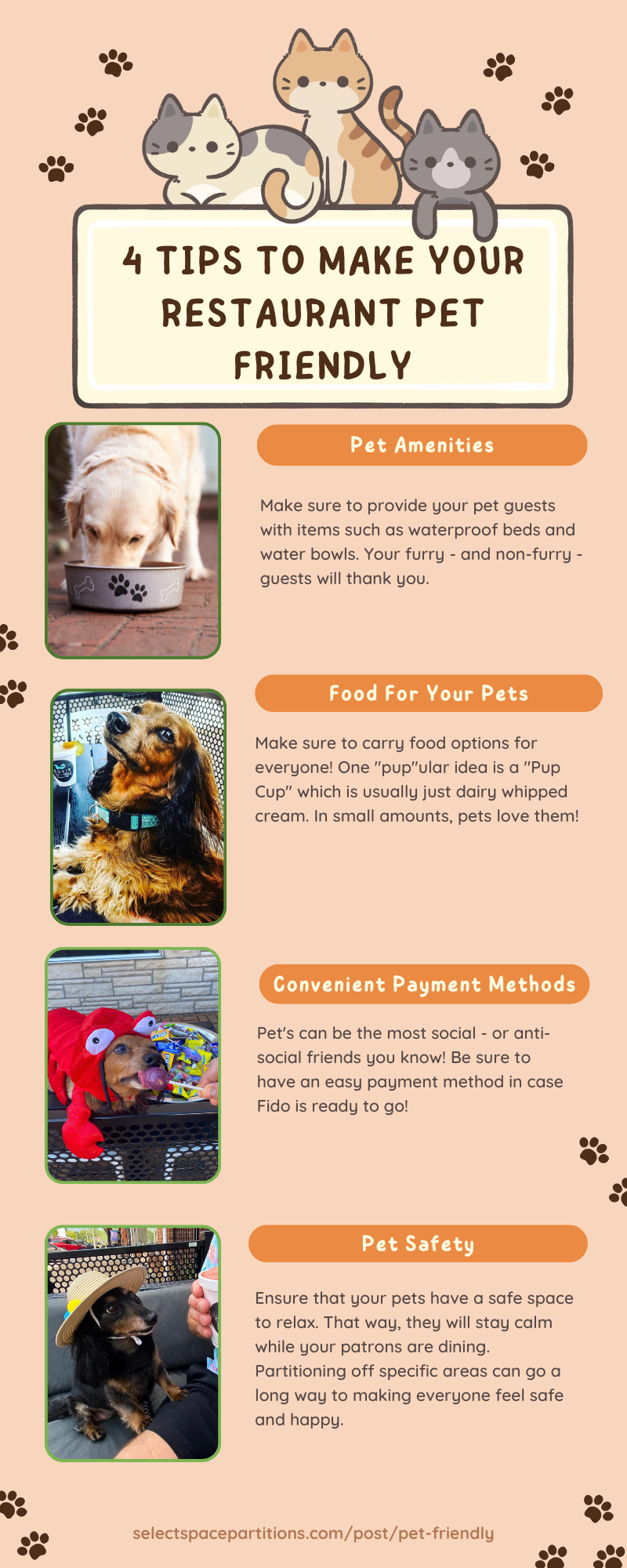 4 tips to make your restaurant pet friendly infographic