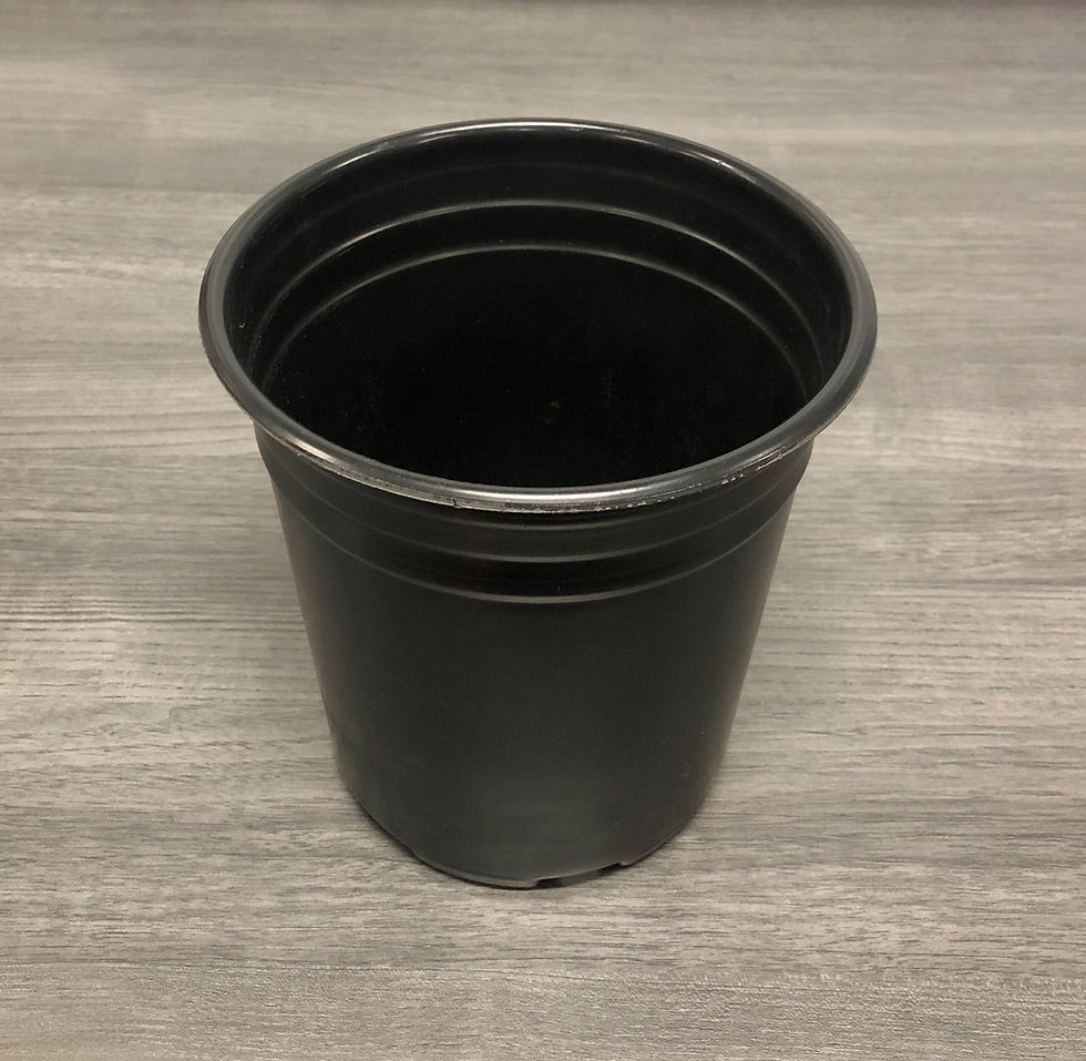 Thumbnail: Empty black plastic pot on wooden surface, ready for planting, outdoors.
