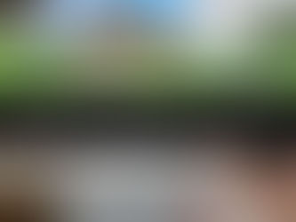 no more cheap fencing in 2026