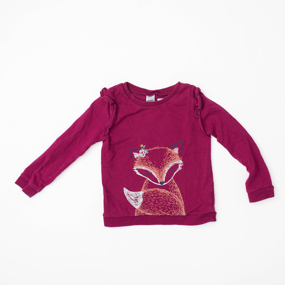 Thumbnail: 4T GIRL TOP SWEATER CARTERS FOX