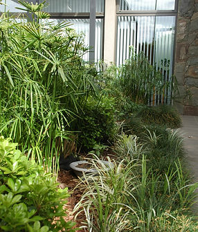 WhatsApp Image 2024-06-28 at 19.08.04 (3).jpeg