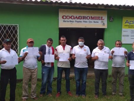 Apicultores en Sucre se preparan en el manejo de colmenas