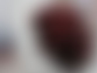 "El Corozo transformado en gelatina": El arte de las manos campesinas en Sincelejo