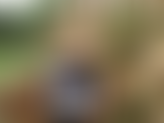 Agricultores de Sucre pueden ser parte del Plan Nacional de Semillas, conoce cómo