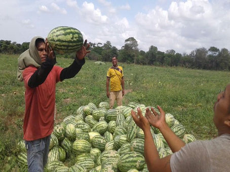 Sucre: Productora e innovadora, nueva apuesta del Gobierno nacional