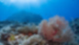 P9180052_edited.jpg