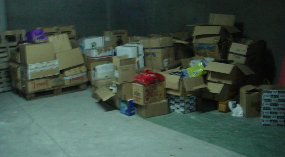 DSC03384.JPG