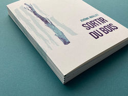 bleu de berlin livre d'artiste édition graphisme création direction artistique