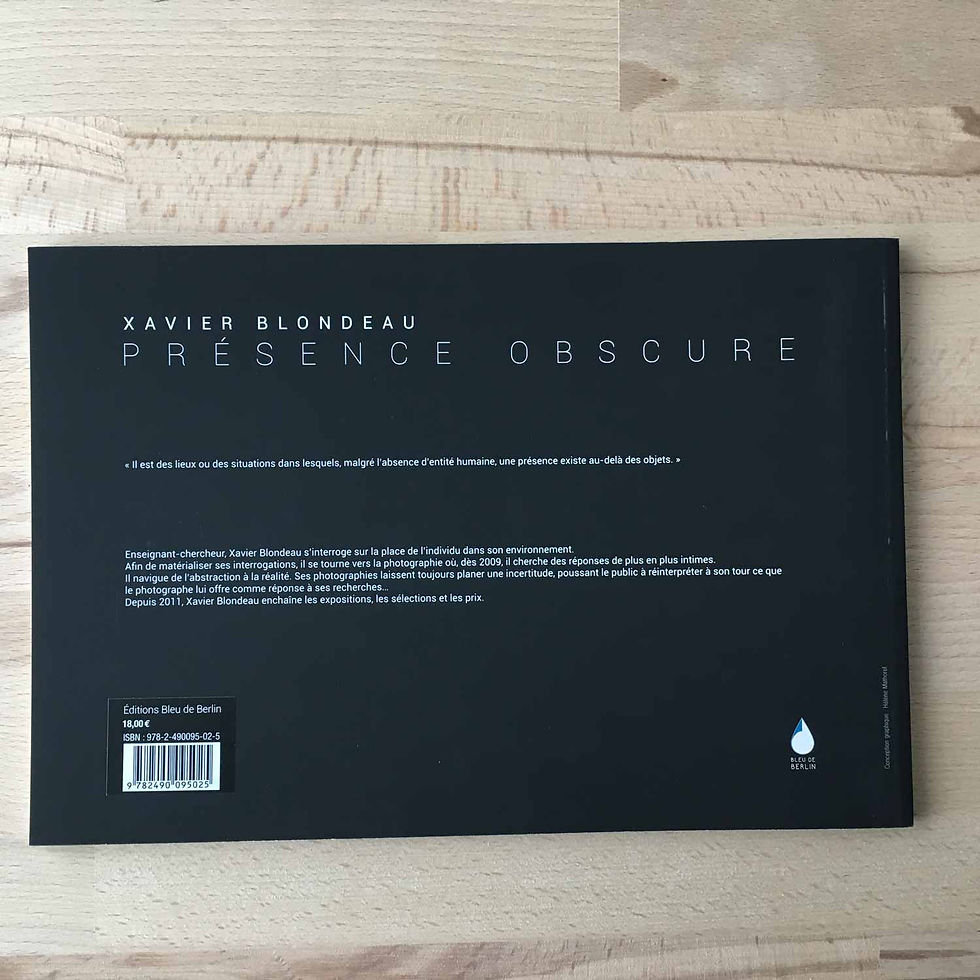 Miniature : Présence obscure - Xavier Blondeau