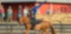 equestrian vaulting_dusti hausman.jpg