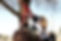 vaulting barrel work.JPG