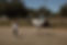 vaulting clinic.JPG