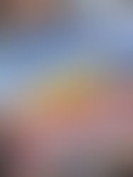 Coupe robotique junior