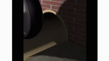 動画 2020-07-31 13 59 01_2.gif